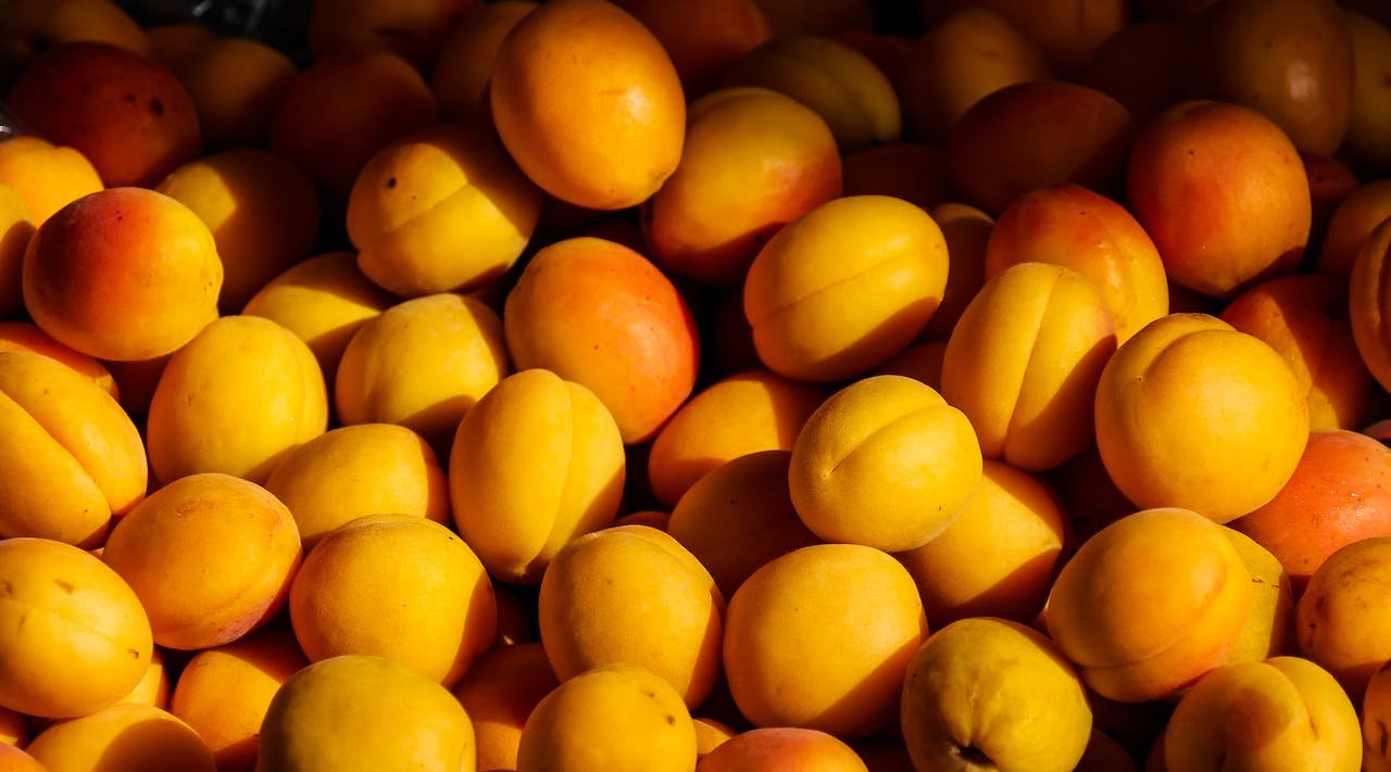 How to make Apricot fool