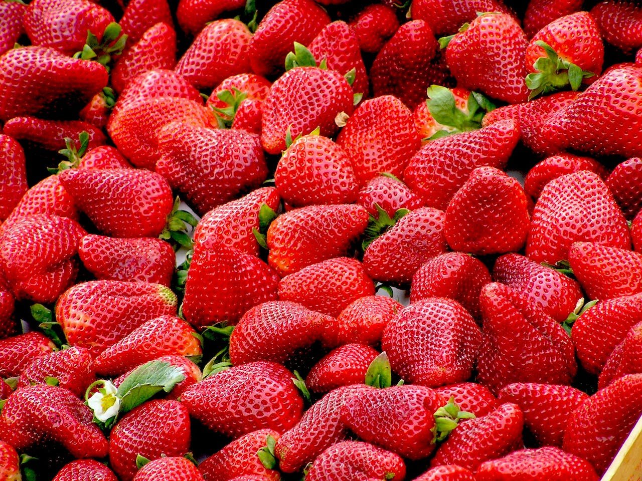 How to make Strawberry rose-petal pashka