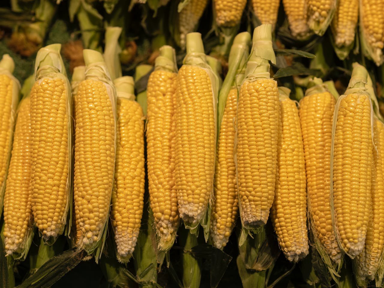 How to make Sweetcorn chowder soup