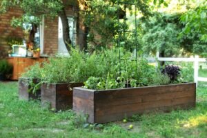 how to build a raised bed garden