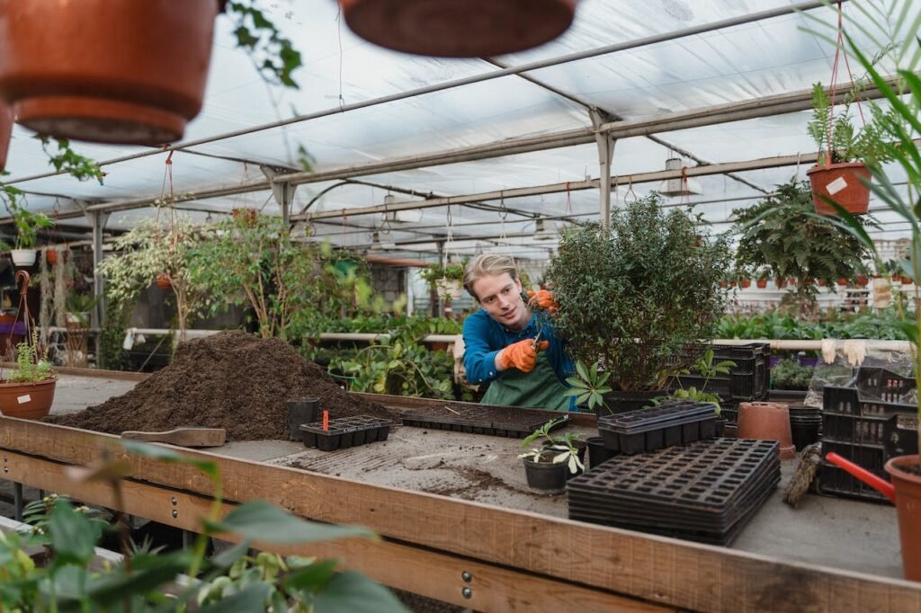 How to create a raised bed garden