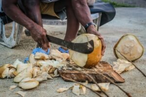 How to Open and Drink from a Coconut