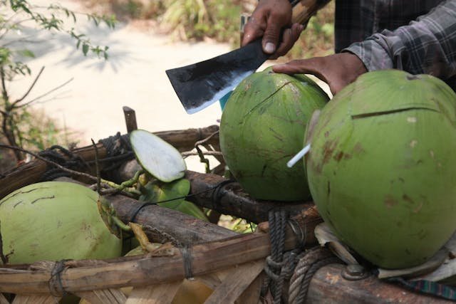 Crack, Clean and Removes the Meat from Coconut