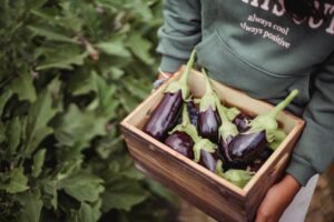 Grow vegetables in containers